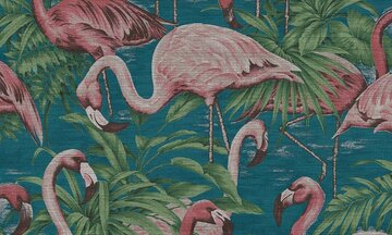 Flamingo Behang