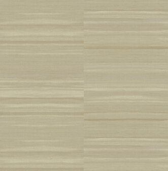 Dutch First Class Akira (Met Gratis Lijm!) Beige AK2203