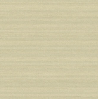 Dutch First Class Akira (Met Gratis Lijm!) Beige AK2303