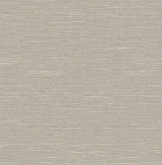 Dutch First Class Thom (Met Gratis Lijm!) beige TH0616