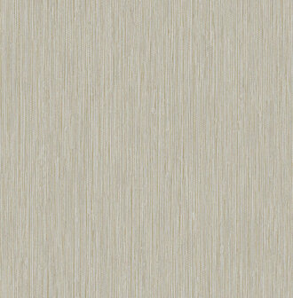 Dutch First Class Thom (Met Gratis Lijm!) beige TH9415