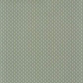 Casamance Manille (Met Gratis Lijm!) 74670354 - Groen