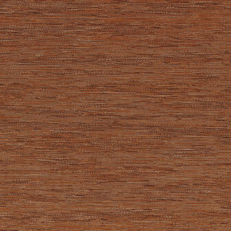 Casamance Select 8 (Met Gratis Lijm!) B75342956 - Oranje