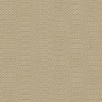 Dutch Wall Decor Splendor Z21738 Beige