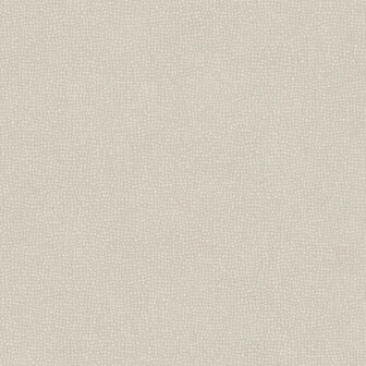 Casadeco So Color 4 (Met Gratis Lijm!) SCOL80541323 - Beige