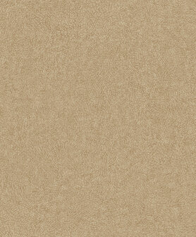 Dutch Wallcoverings Attitude A67004 Beige