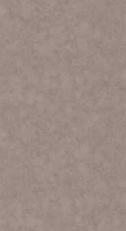 Caselio Beton 2 (Met Gratis Lijm!) BTO101481899 - Beige