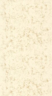 Caselio Beton 2 (Met Gratis Lijm!) BTO101491528 - Beige