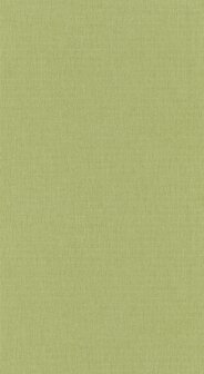 Caselio Green &amp; Co (Met Gratis Lijm!) GCO68527203 - Groen