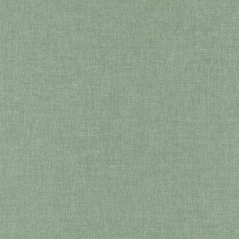 Caselio Linen 2 (Met Gratis Lijm!) LINN68527190 - Groen