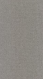 Caselio Linen 2 (Met Gratis Lijm!) LINN68529266 - Grijs