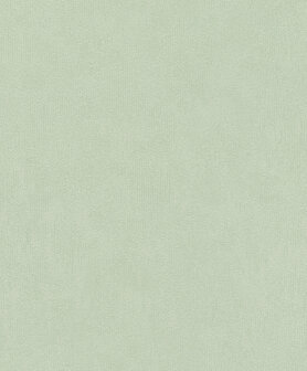 Rasch Deco Style 415377 Groen