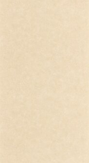 Caselio Ceramique (Met Gratis Lijm*) CER105241844 - Beige