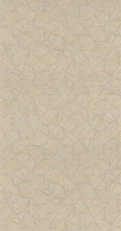 Casamance Nature Pr&eacute;cieuse - Textures (Met Gratis Lijm*) B75322140 - Beige