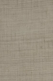 Arte Wild Silk GHICHA SILK 86542 Taupe (Incl. Gratis Lijm*)