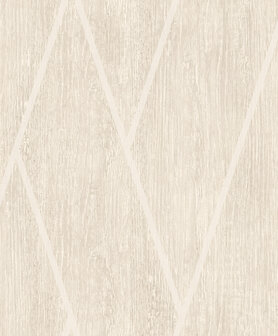 Dutch Wallcoverings Brut M757-07 Beige