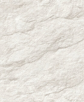 Dutch Wallcoverings Brut M758-00 Grijs