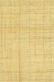 Greenland Natural Palette N168NG5002 - Raffia - Goud