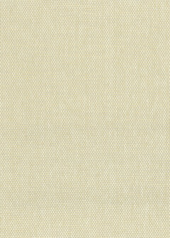 Greenland Natural Palette N168NP6001 - Paper Weave - Beige