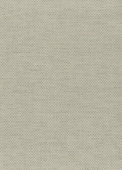 Greenland Natural Palette N168NP6062 - Paper Weave - Grijs