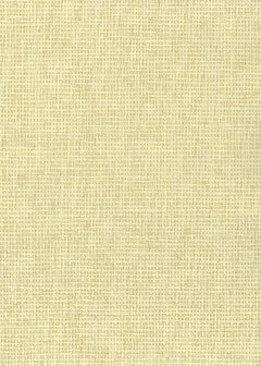 Greenland Natural Palette N168NP6102 - Paper Weave - Cr&egrave;me