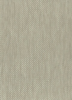 Greenland Natural Palette N168NP6106 - Paper Weave - Grijs