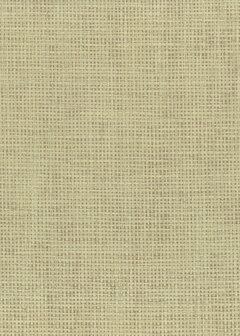 Greenland Natural Palette N168NP6121 - Paper Weave - Beige