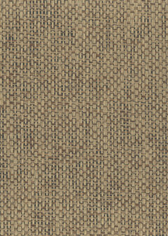 Greenland Natural Palette N168NP6158 - Paper Weave - Bruin