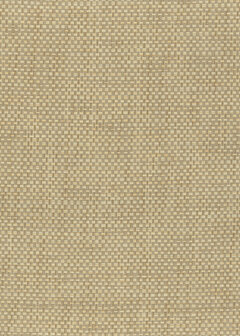 Greenland Natural Palette N168NP6284 - Paper Weave Beige