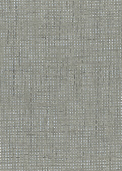 Greenland Natural Palette N168NP6537 - Paper Weave - Zilver / Grijs