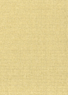 Greenland Natural Palette N168NP6602 - Paper Weave - Beige