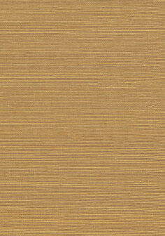 Greenland Natural Palette N168NS1198 - Sisal - Bruin