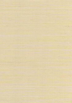 Greenland Natural Palette N168NS2016 - Sisal - Beige