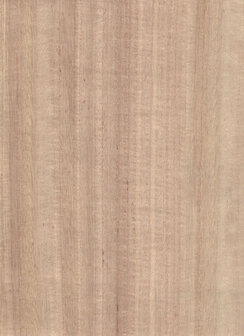 Greenland Natural Palette N168NV1014 - Hout fineer - Beige