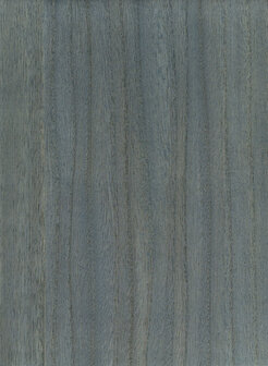 Greenland Natural Palette N168NV1038 - Hout fineer Blauw