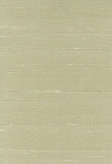 Greenland Natural Palette N168TF3475 - Zijde - Beige