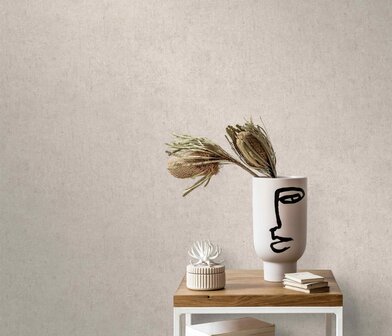 Dutch Wall Decor Play of Light (Dubbele breedte) 12203-38 / 5021220338 Taupe