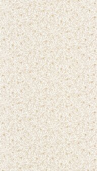 Caselio Color Box 3 (*Met Gratis Lijm!) CB3102341079 - Beige