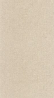 Caselio Color Box 3 (*Met Gratis Lijm!) CB3103221720 - Beige