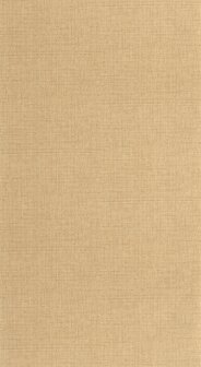 Caselio Matieres (Met Gratis Lijm!) - Beige MMT105971245