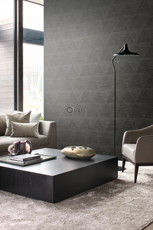 Origin Wallcoverings Mati&egrave;res (Met Gratis Lijm!) 337605 - Zwart