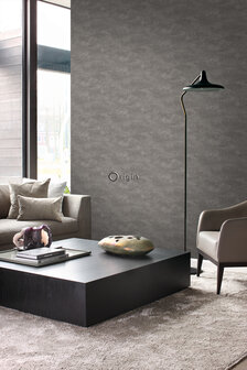 Origin Wallcoverings Mati&egrave;res (Met Gratis Lijm!) 347566 - Bruin