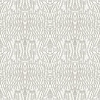 Origin Wallcoverings Raw Elegance (Met Gratis Lijm!) 347309 - Beige