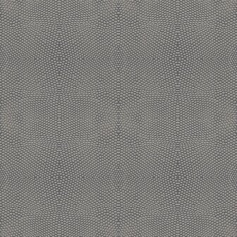 Origin Wallcoverings Raw Elegance (Met Gratis Lijm!) 347311 - Bruin