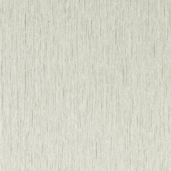 Clarke &amp; Clarke Expressions Performance Wallpapers - Beige W0205/03