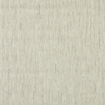 Clarke &amp; Clarke Expressions Performance Wallpapers - Beige W0205/04