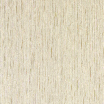 Clarke &amp; Clarke Expressions Performance Wallpapers - Beige W0205/05