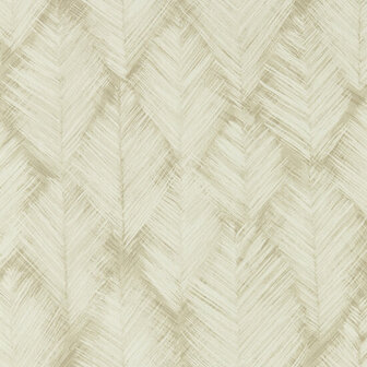 Clarke &amp; Clarke Expressions Performance Wallpapers - Beige W0206/05