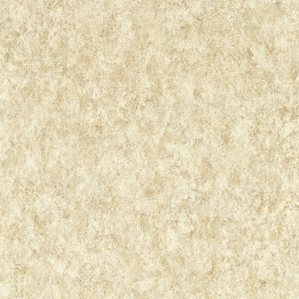 Clarke &amp; Clarke Expressions Performance Wallpapers - Beige W0208/07