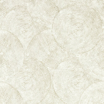 Clarke &amp; Clarke Expressions Performance Wallpapers - Beige W0209/02